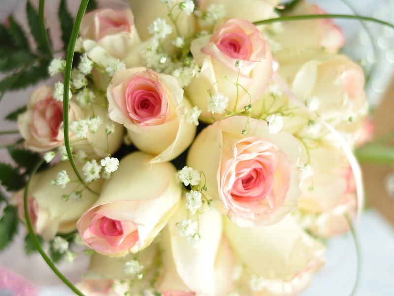 Rosas Blancas Hd Wallpaper Fondo De Pantalla - Beautiful Exotic Flowers Bouquets - HD Wallpaper 