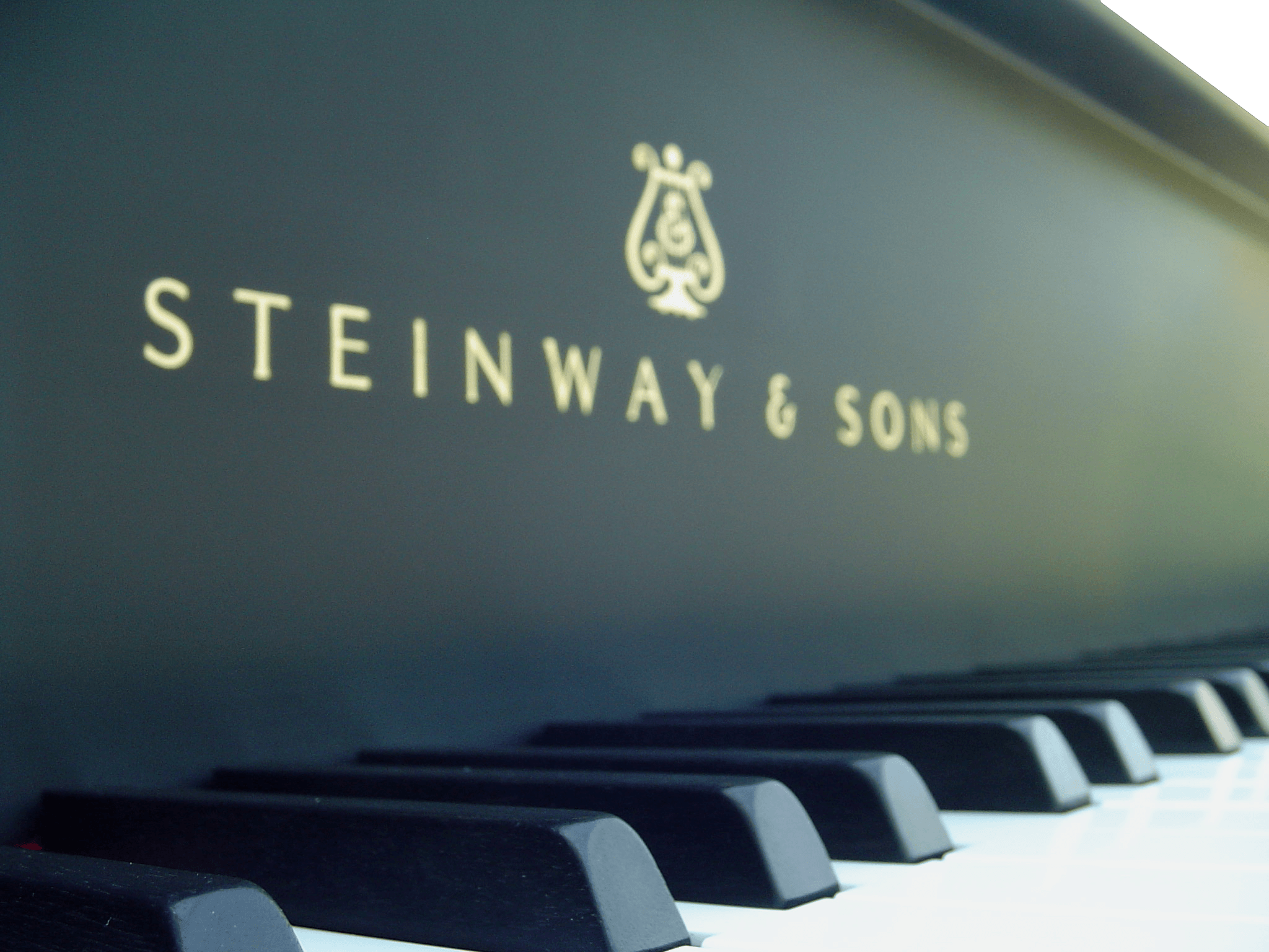 My First Purchase If I Ever Win The Lottery - Steinway Grand Piano Keys - HD Wallpaper 