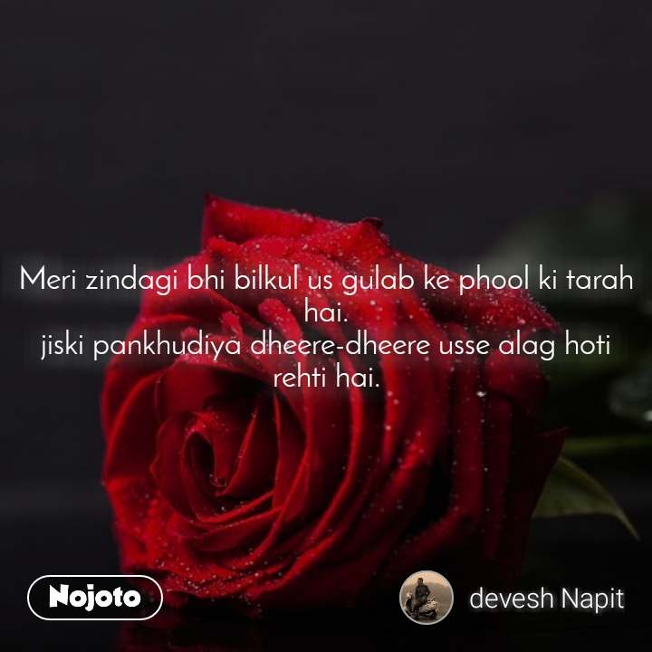 Meri Zindagi Bhi Bilkul Us Gulab Ke Phool Ki Tarah - Garden Roses - 720x720  Wallpaper 