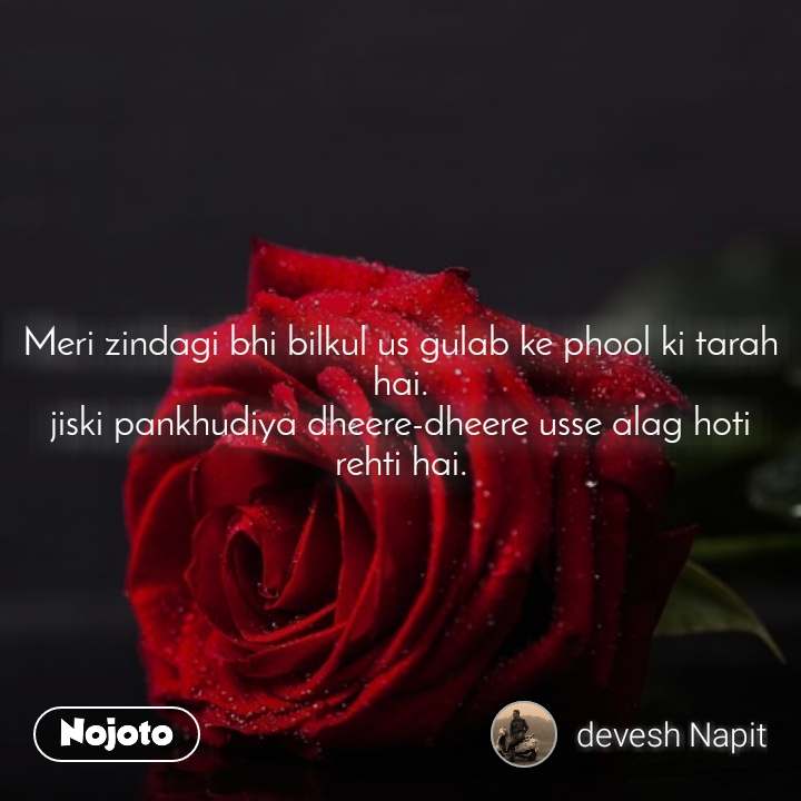 Meri Zindagi Bhi Bilkul Us Gulab Ke Phool Ki Tarah - Garden Roses - 720x720 Wallpaper Meri Zindagi Bhi Bilkul Us Gulab Ke Phool Ki Tarah - Garden Roses - 720x720 Wallpaper