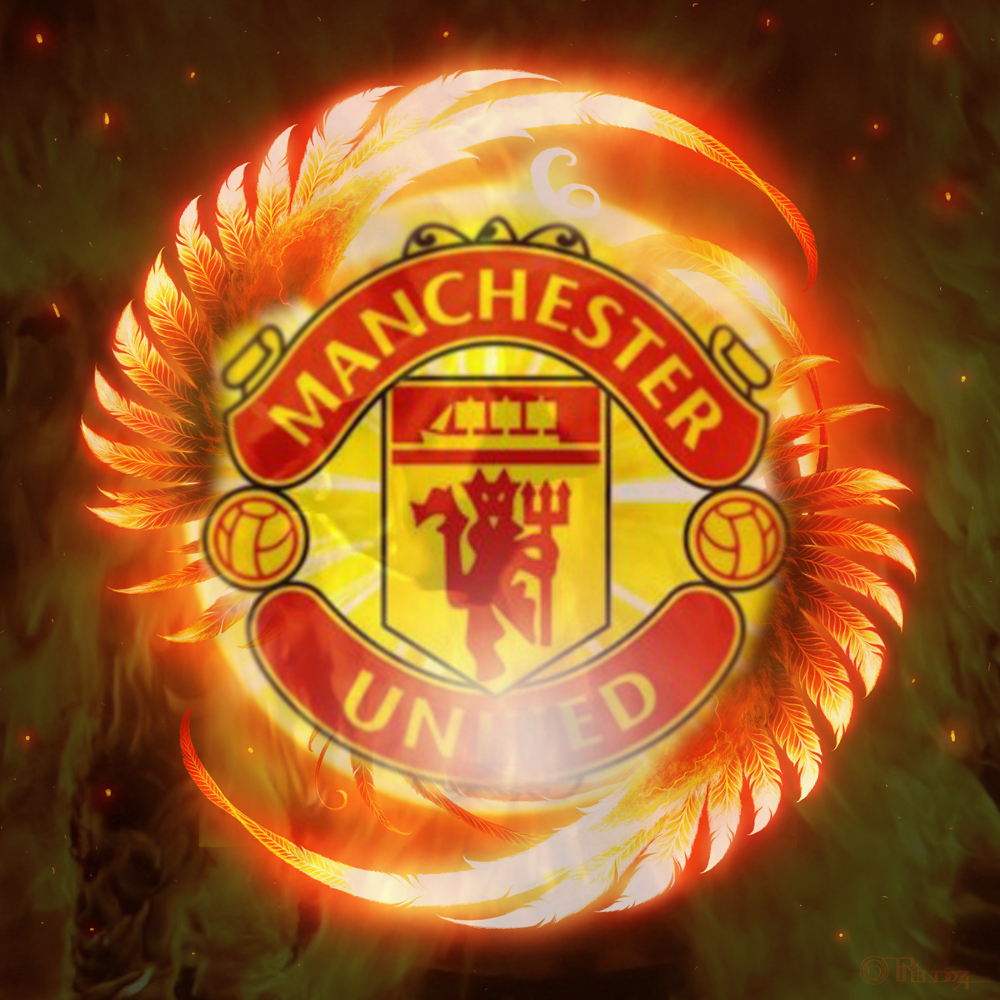 Manchester United Hd Desktop Wallpaper - Phoenix Fire Bird - HD Wallpaper 
