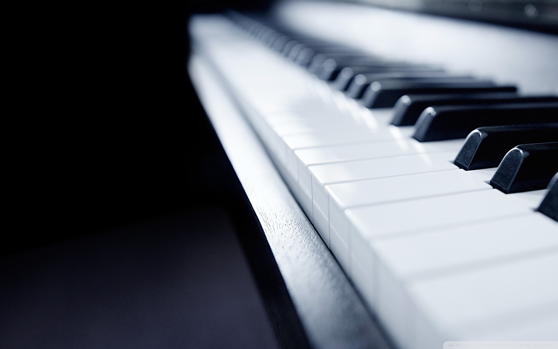 Wide 
 Data-src - Piano Close Up Hd - HD Wallpaper 