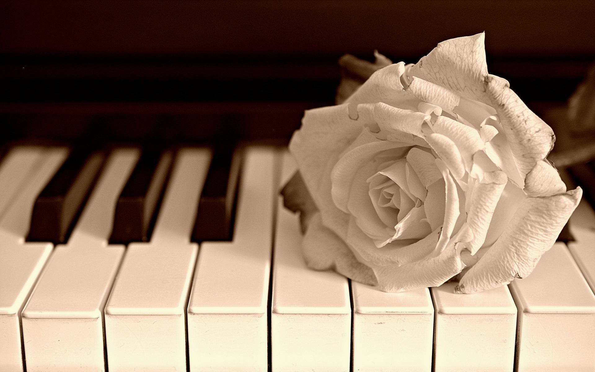 Piano Wallpapers-874albq - HD Wallpaper 