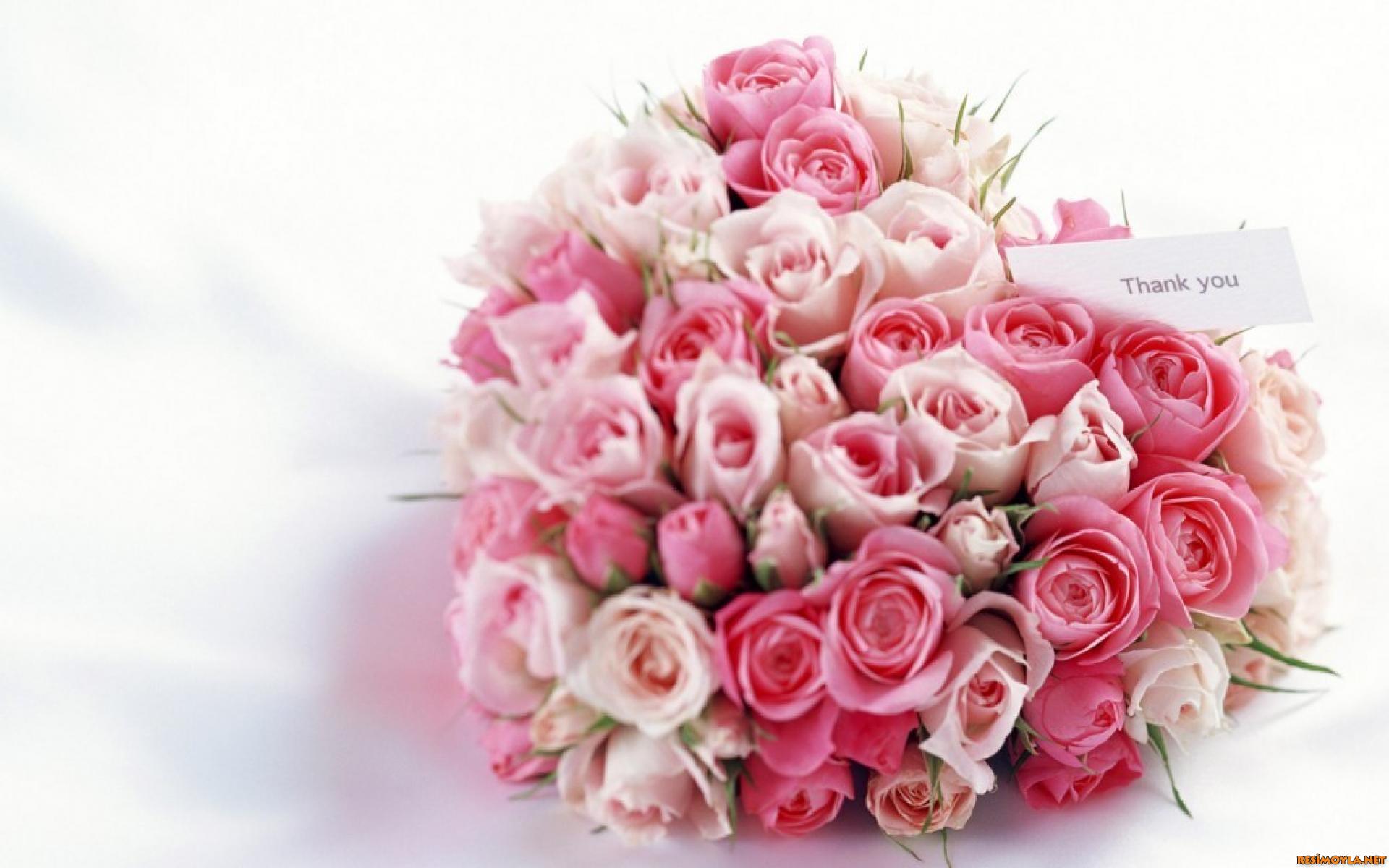 西洋 情人 情人 節 快樂 - HD Wallpaper 