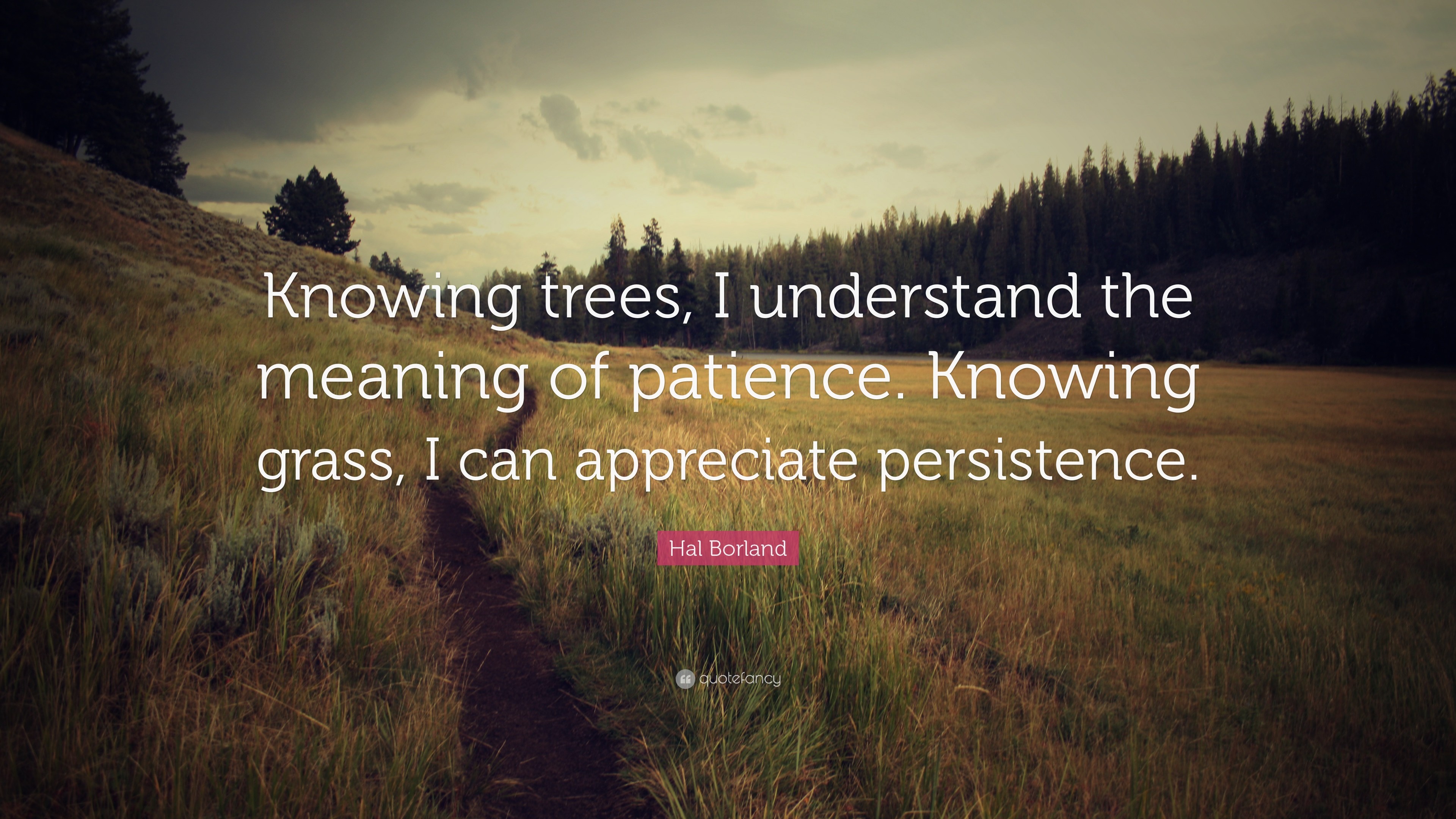 Nature Quotes - Key To Life Is Running And Reading - HD Wallpaper 