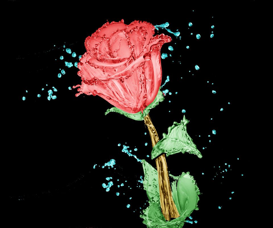 Floral Design - HD Wallpaper 