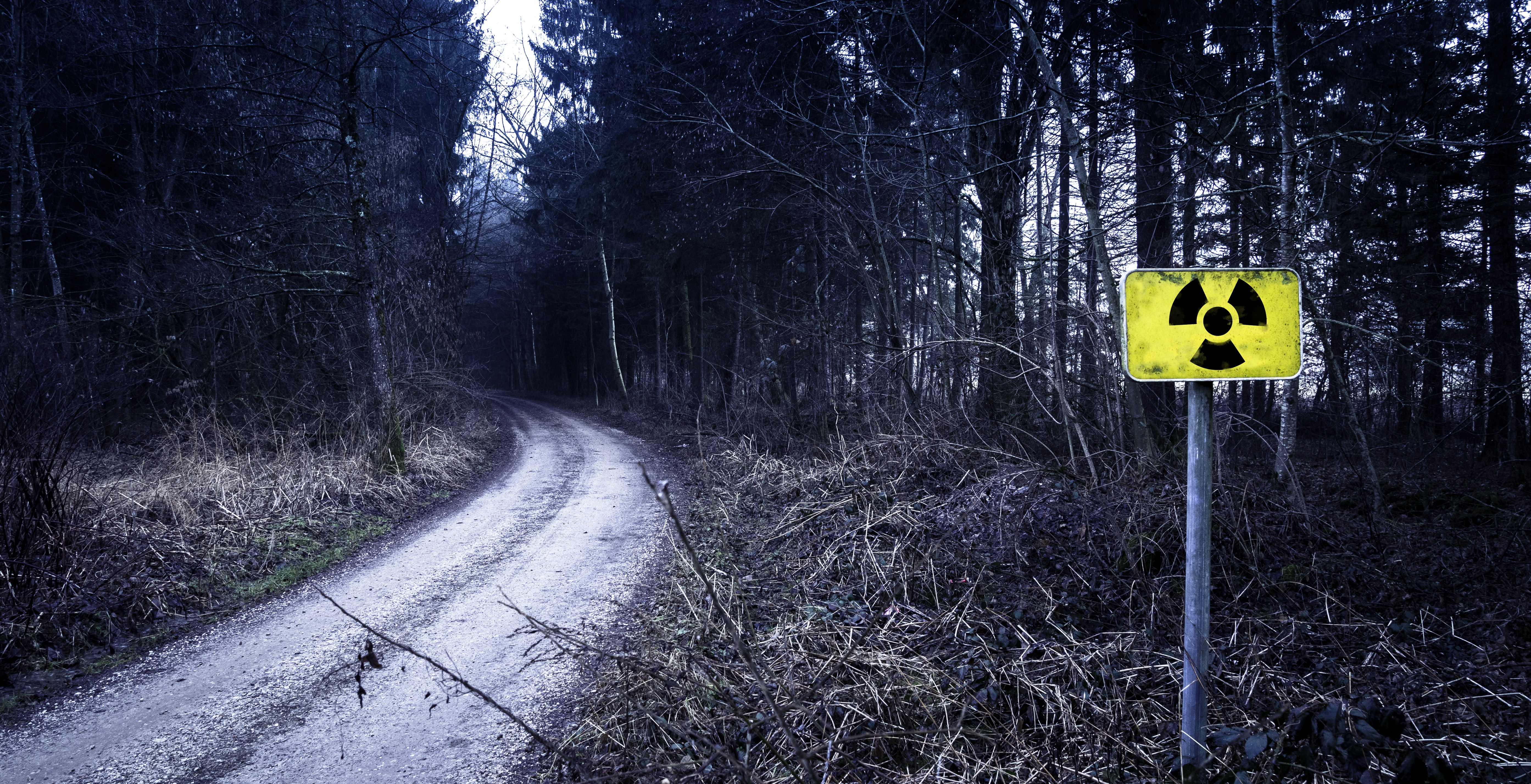 Radioactive Sign In Forest - HD Wallpaper 
