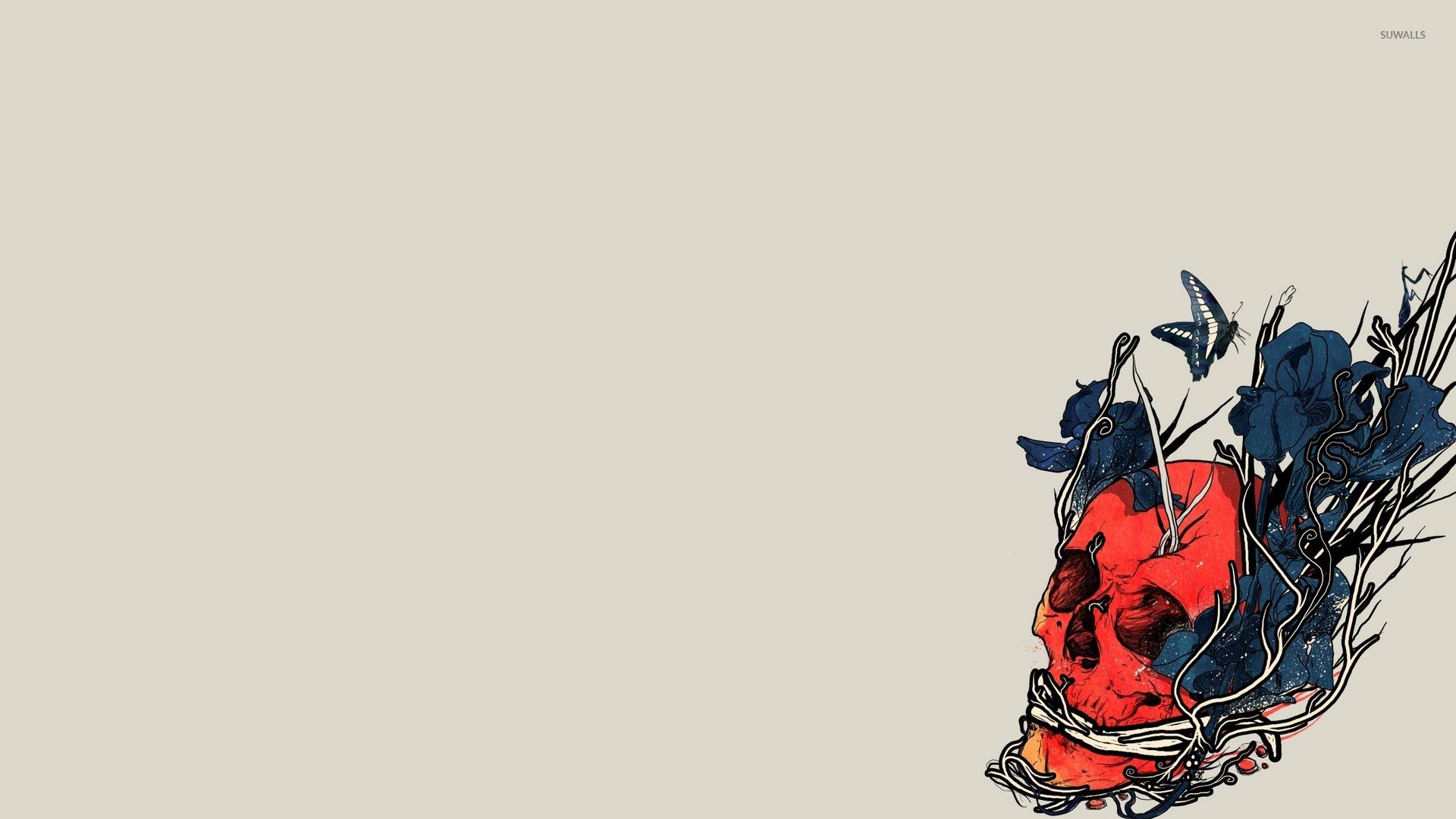 Chinese Guardian Lion - HD Wallpaper 