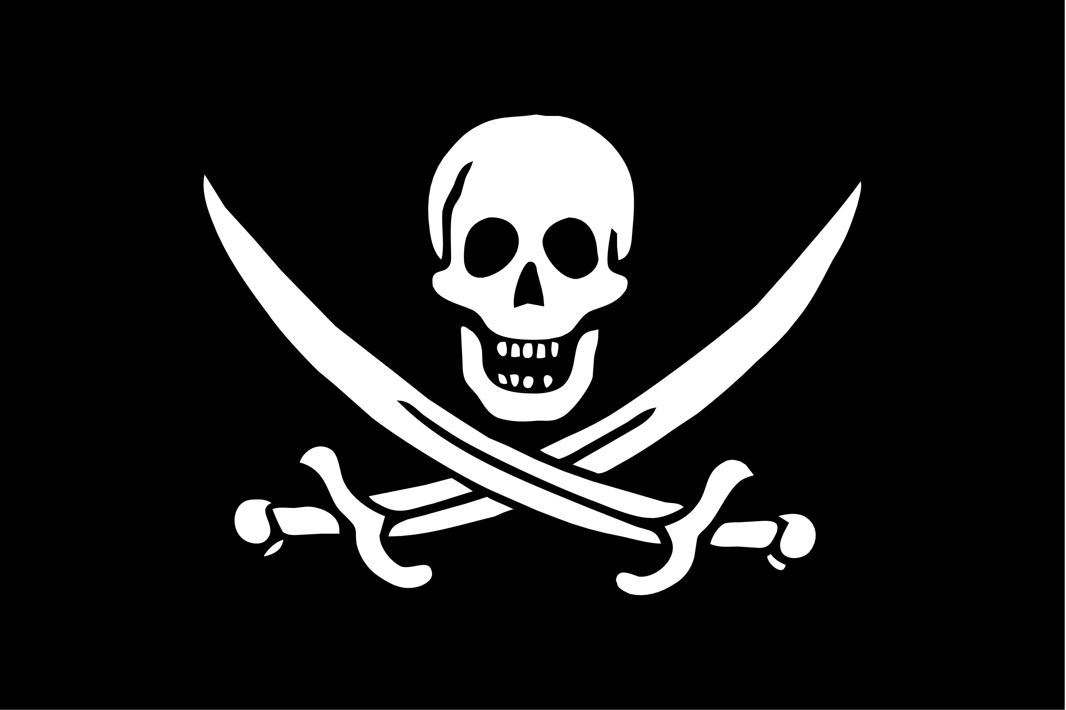 Jolly Roger Calico Jack - HD Wallpaper 