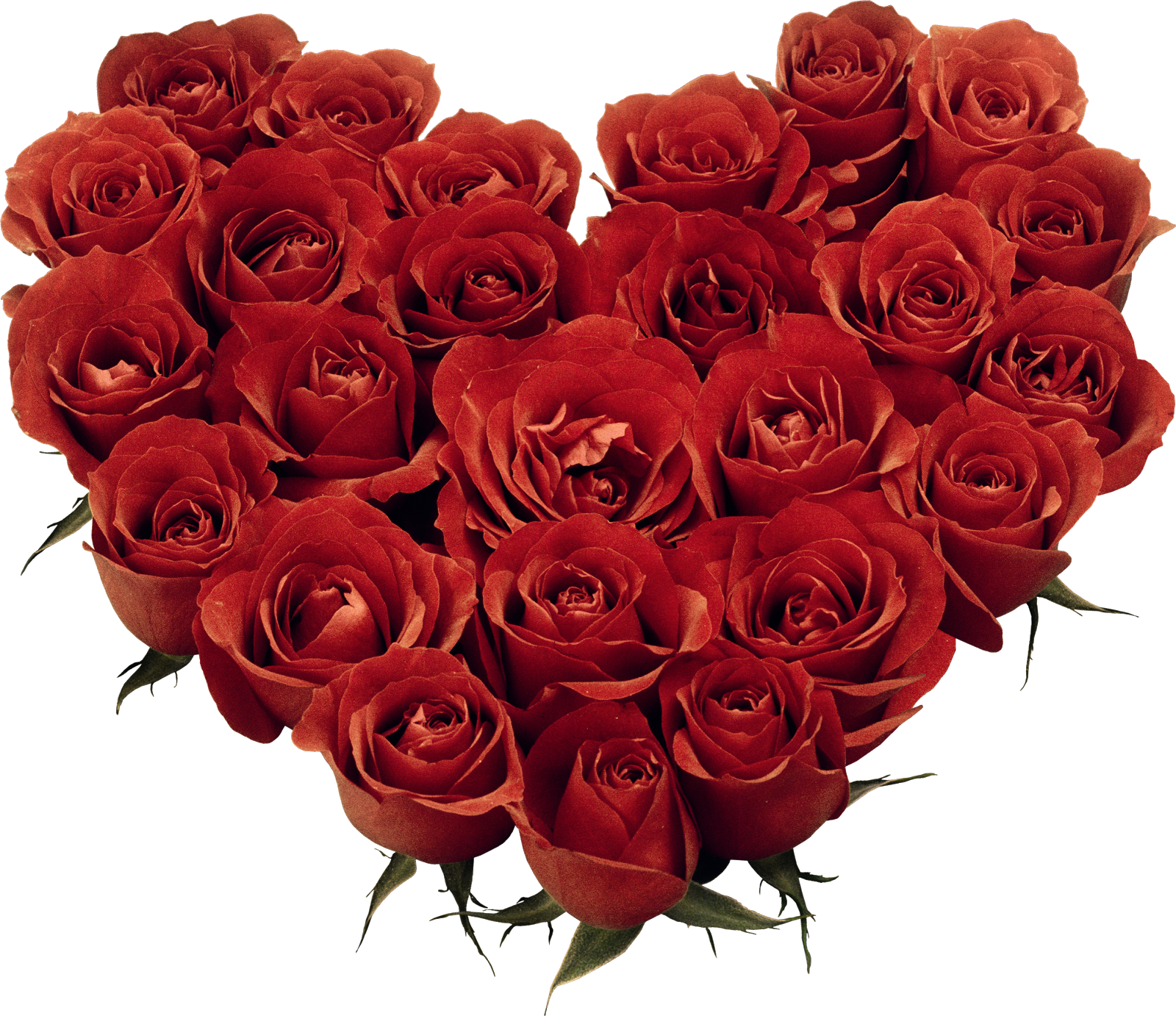 Corazón De Rosas Rojas - HD Wallpaper 