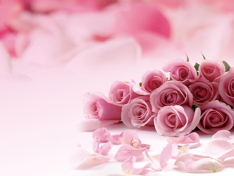 Pink Roses Picture Hd Desktop Wallpaper - Happy Mother's Day Church - HD Wallpaper 