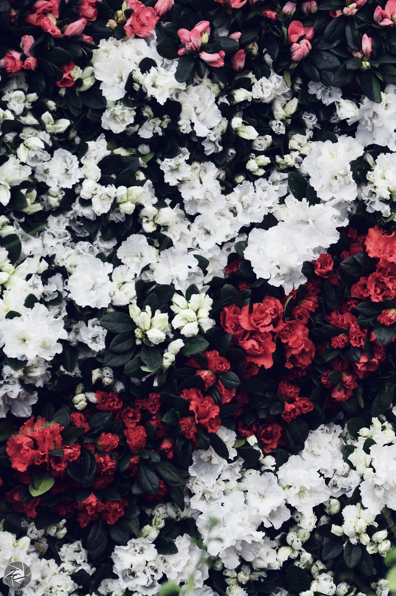 Artificial Flower - HD Wallpaper 