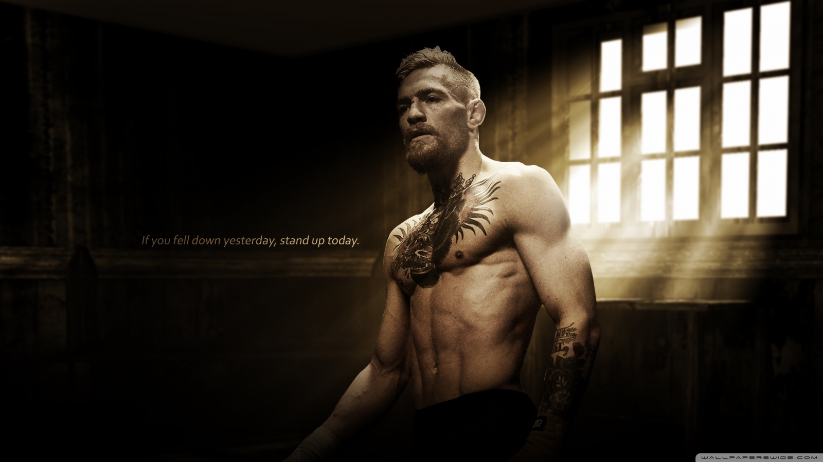 Conor Mcgregor - HD Wallpaper 