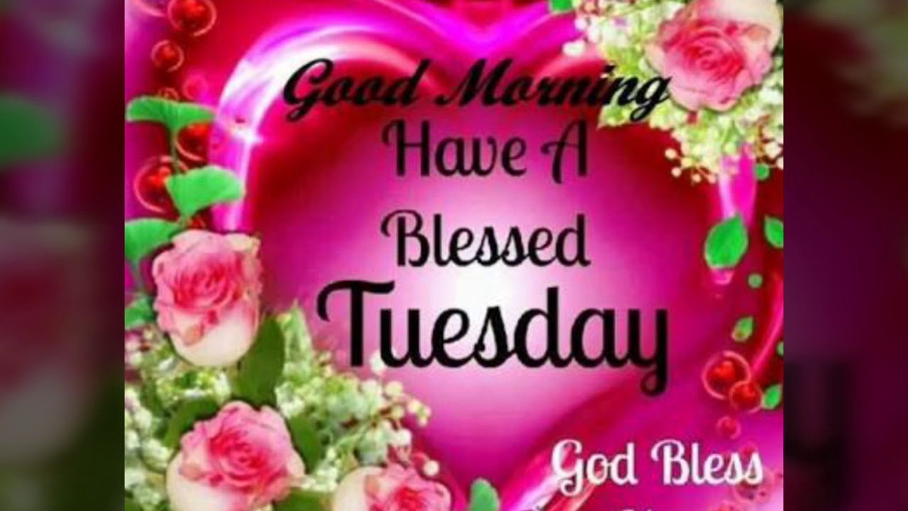 Tuesday Good Morning Wishes - HD Wallpaper 