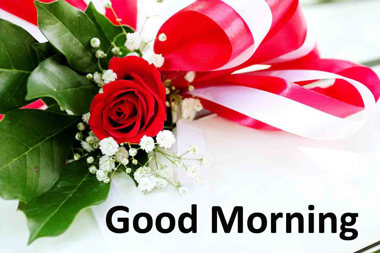 Good Morning Images - Beautiful Good Morning Quotes Download - HD Wallpaper 