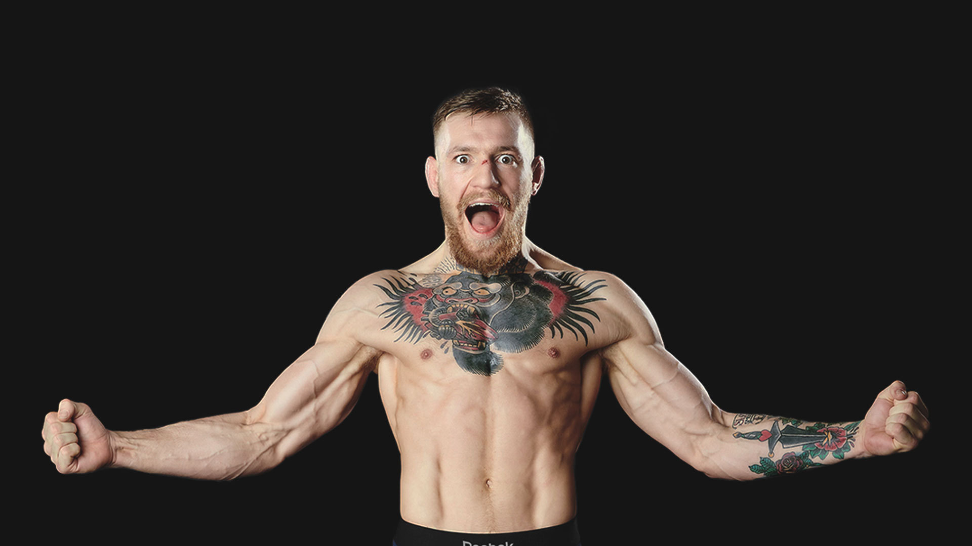 Conor Mcgregor Wallpaper 1920 - HD Wallpaper 
