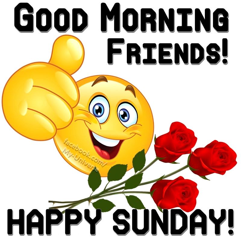 Happy Sunday My Friends - HD Wallpaper 