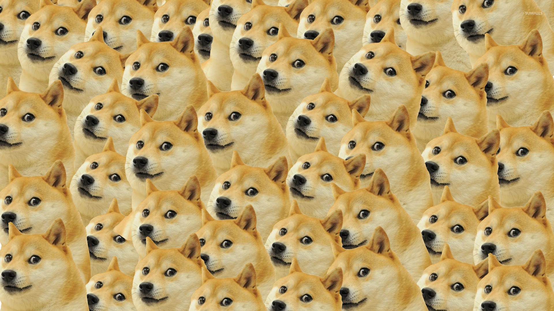 Meme Backgrounds Wallpaper Cave Source Â - Doge Wallpaper Hd - HD Wallpaper 