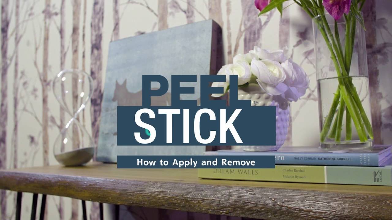 Moth Orchid - HD Wallpaper 