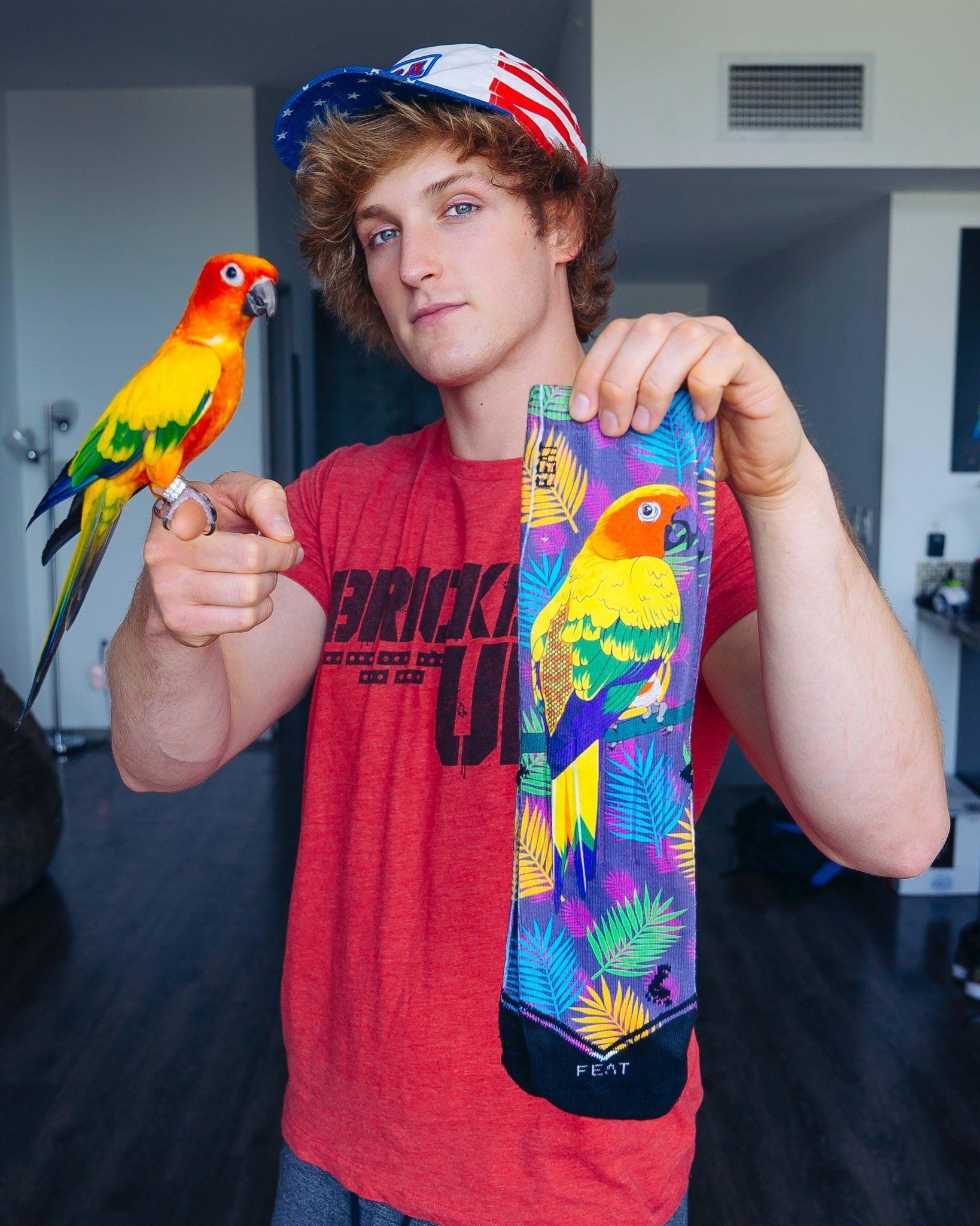 Logan Paul Maverick Socks - HD Wallpaper 