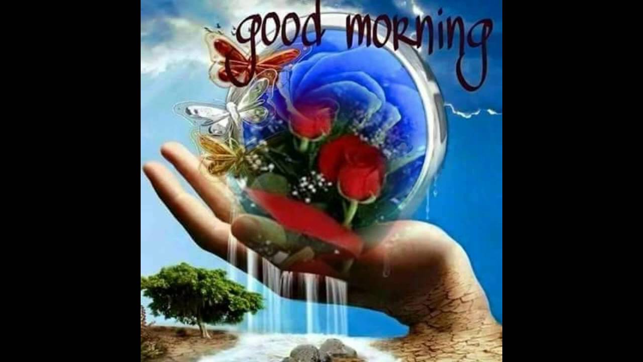 New Flower Good Morning - HD Wallpaper 