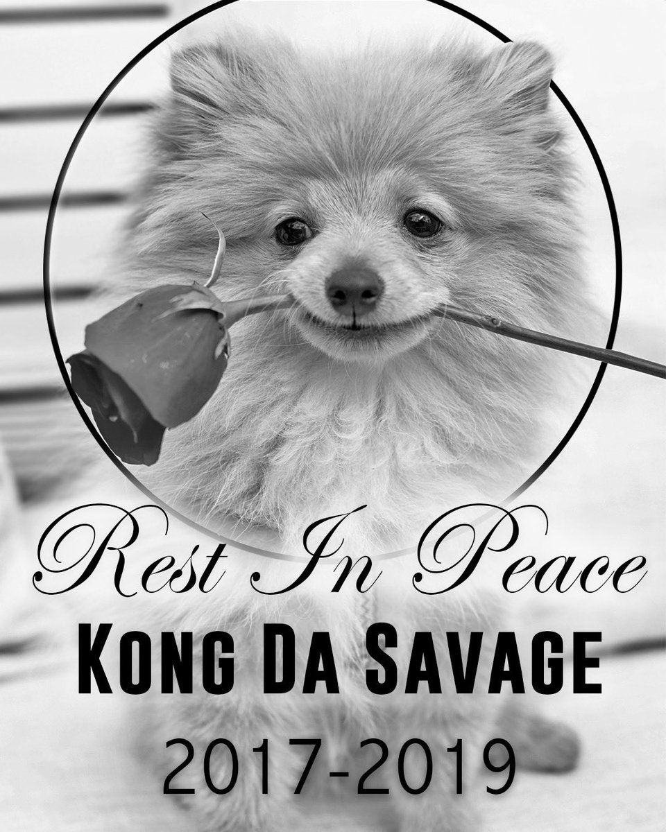 Kong Da Savage Logan Paul Death Dog Coyote - Kong Logan Paul Dog - HD Wallpaper 