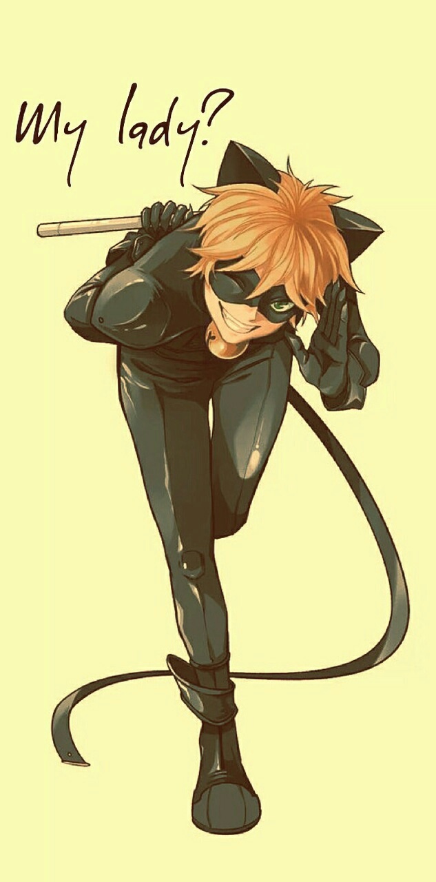 Wallpaper, Background, And Chat Noir Image - Chat Noir Miraculous Fanart - HD Wallpaper 