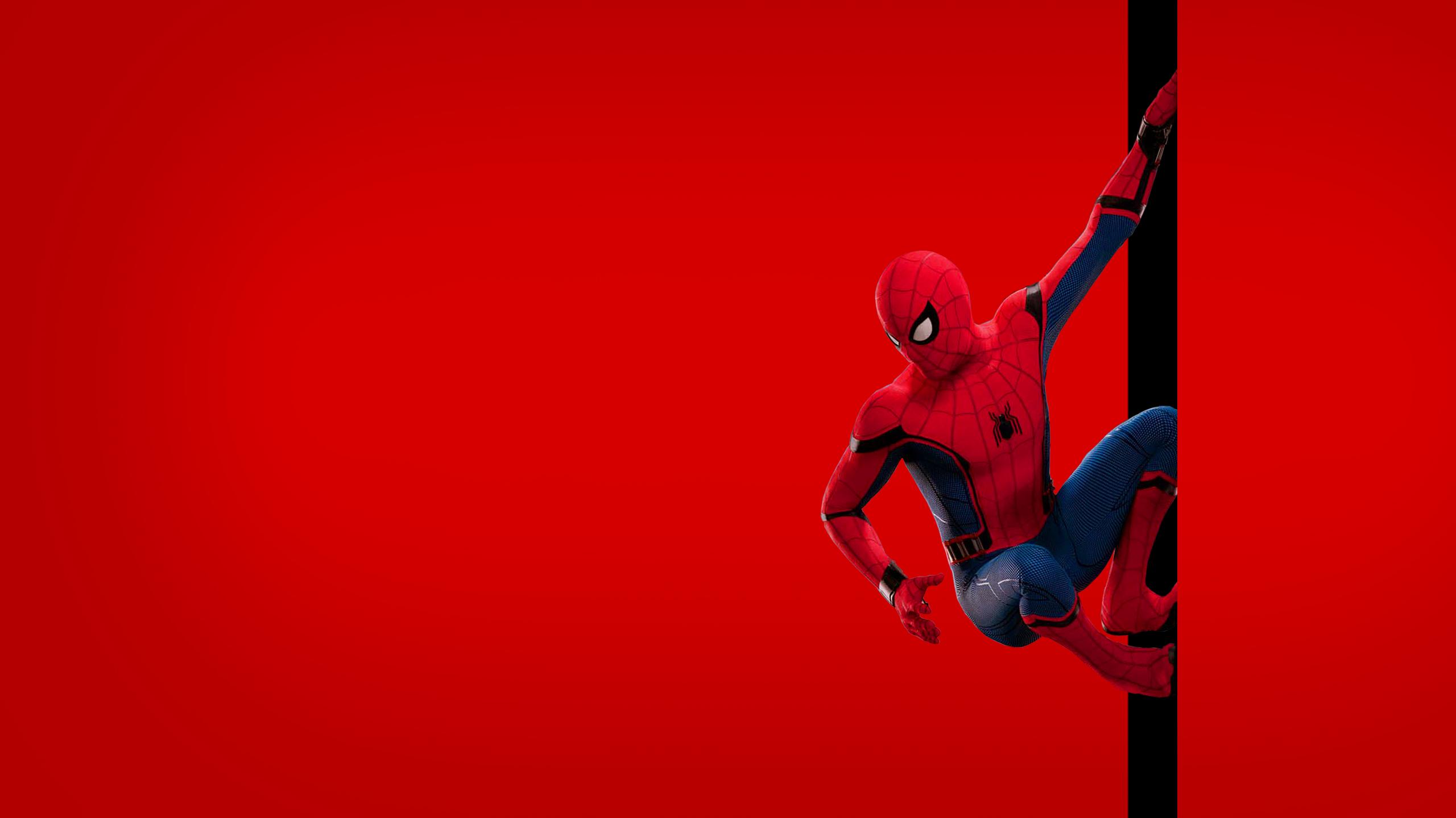 Spiderman Homecoming Wallpaper - Spiderman Background - HD Wallpaper 