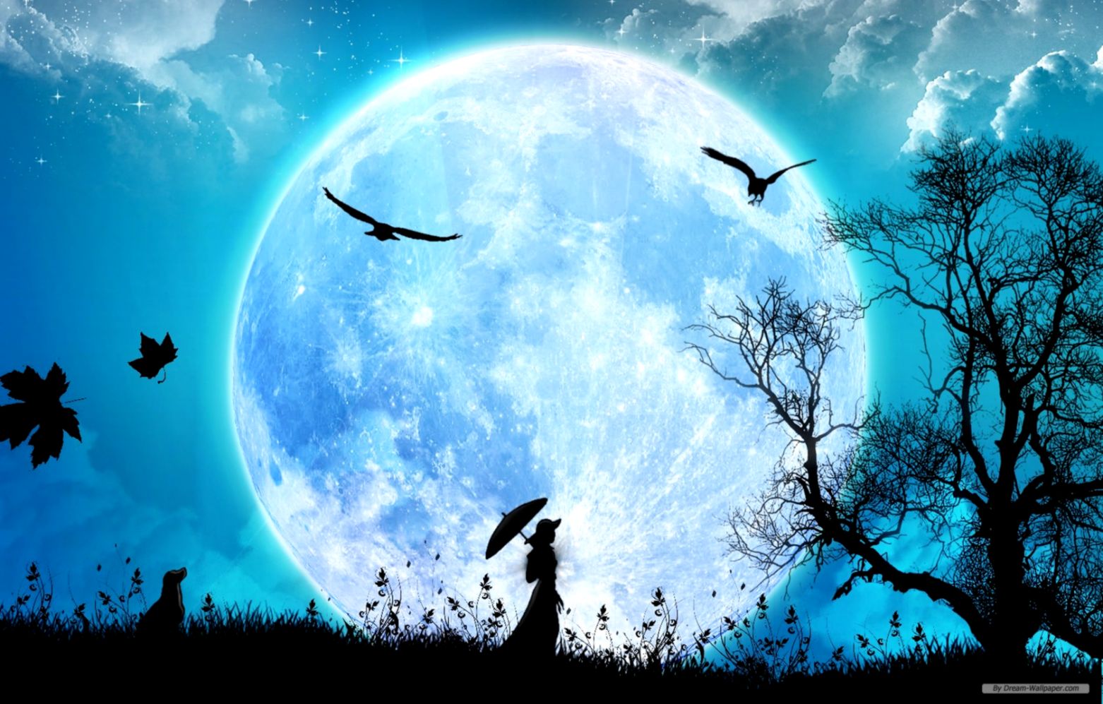 Desktop Wallpaper Hd Art Hd 3d Nature Butterfly Dwonload - Anime Wallpaper Moon - 1562x997 Wallpaper Desktop Wallpaper Hd Art Hd 3d Nature Butterfly Dwonload - Anime Wallpaper Moon - 1562x997 Wallpaper