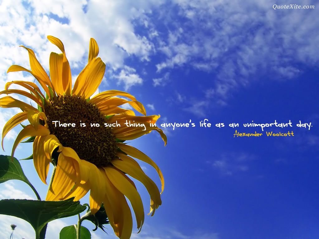 Inspirational Wallpaper - Sunflower Quotes For Computer Background -  1024x768 Wallpaper 