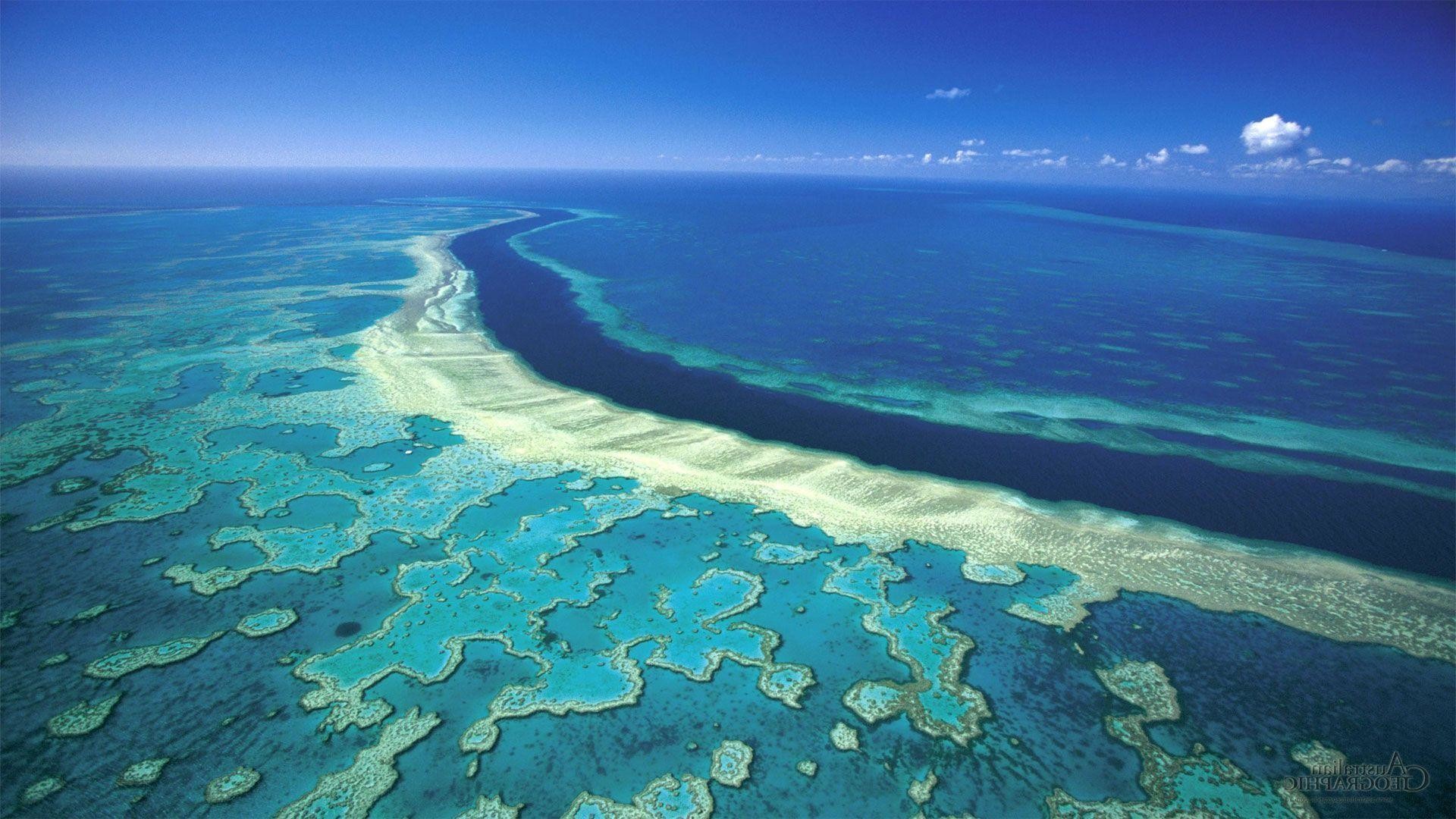 Great Barrier Reef Wallpapers Iphone - Great Barrier Reef Wallpaper Hd - 1920x1080  Wallpaper 