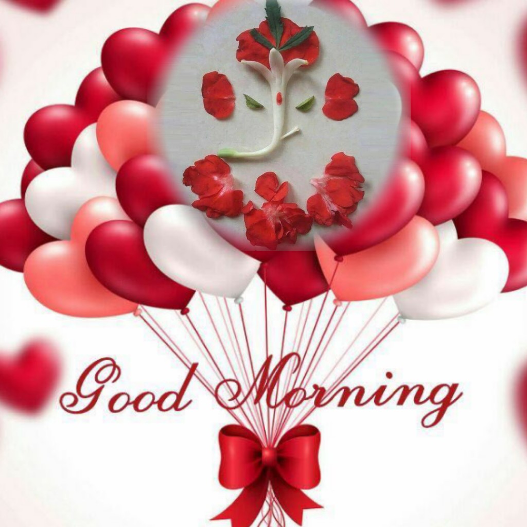 Whatsapp Good Morning English - HD Wallpaper 