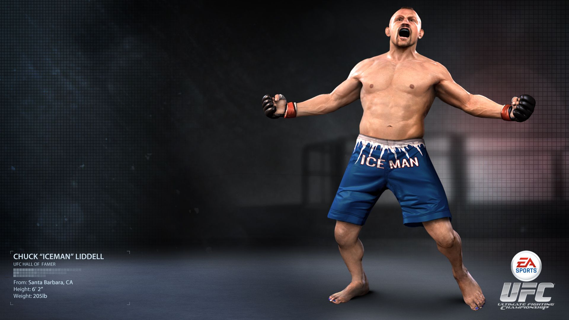 Chuck Liddell Ufc 3 - HD Wallpaper 