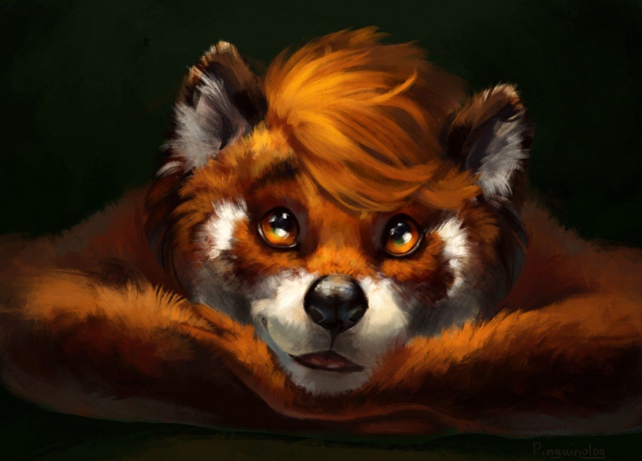 Furry Anthro Red Panda - HD Wallpaper 