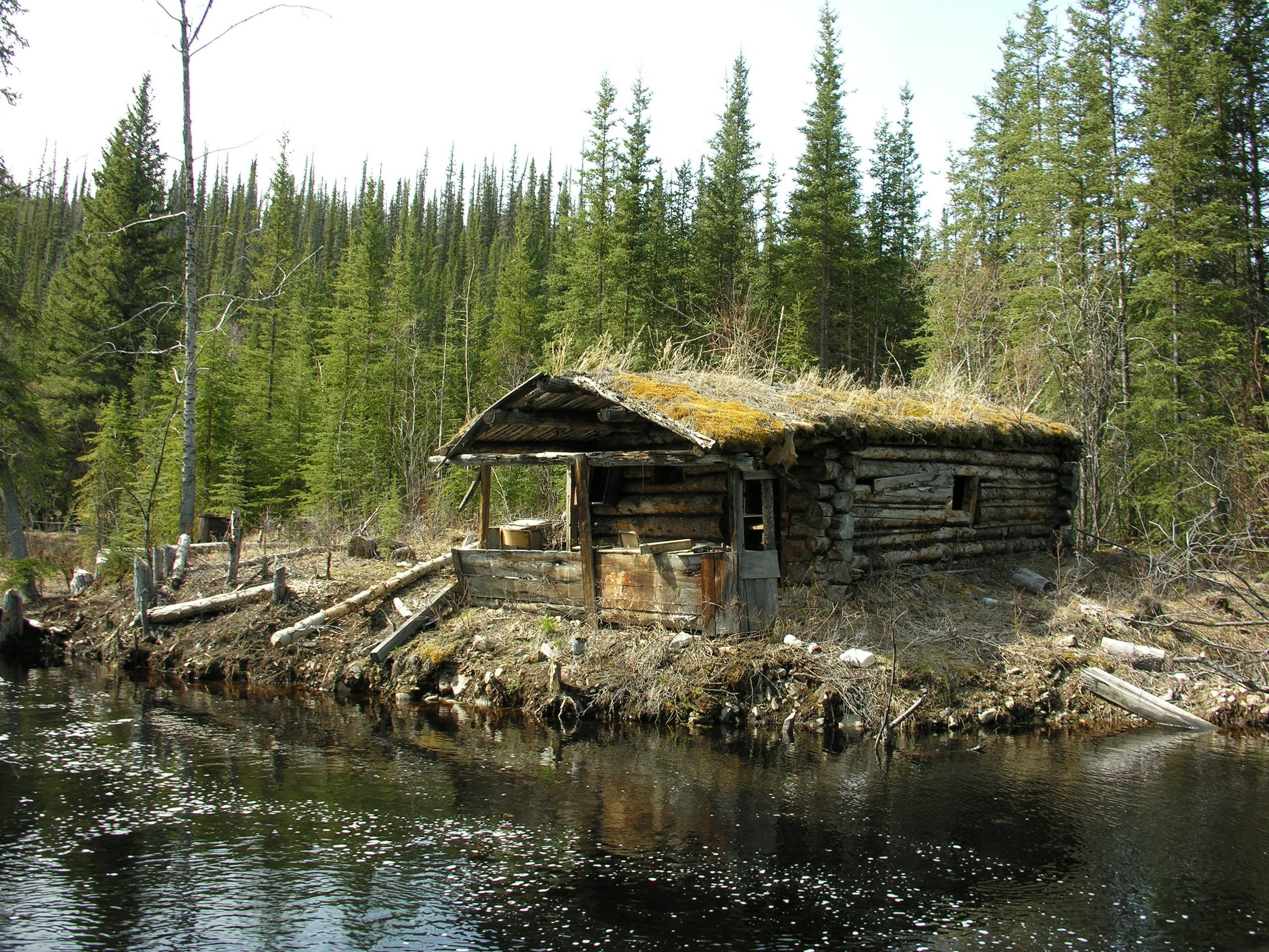 Siberia Tiny Homes - Old Cabin In Forest - HD Wallpaper 