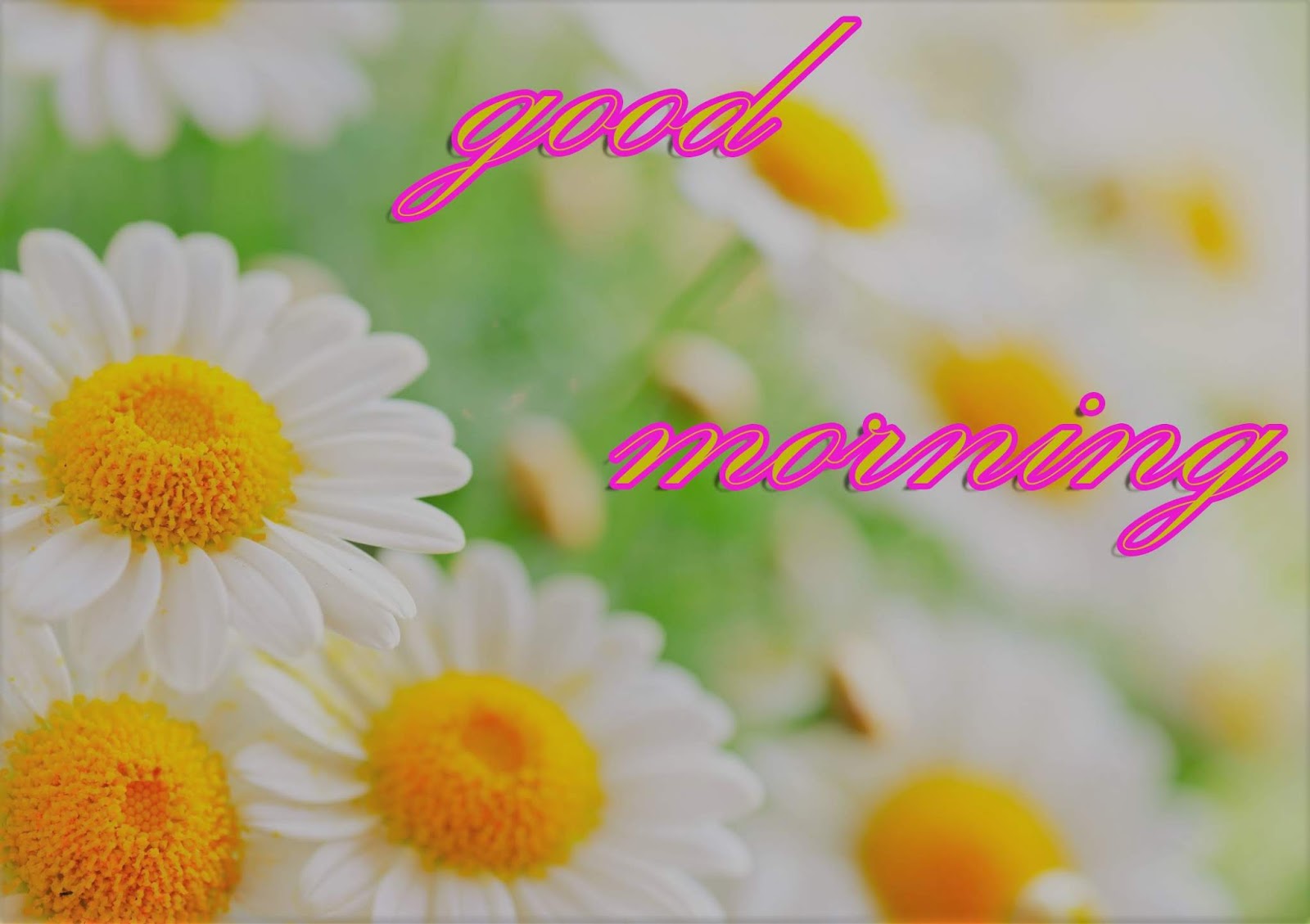 Good Morning Pics New - HD Wallpaper 