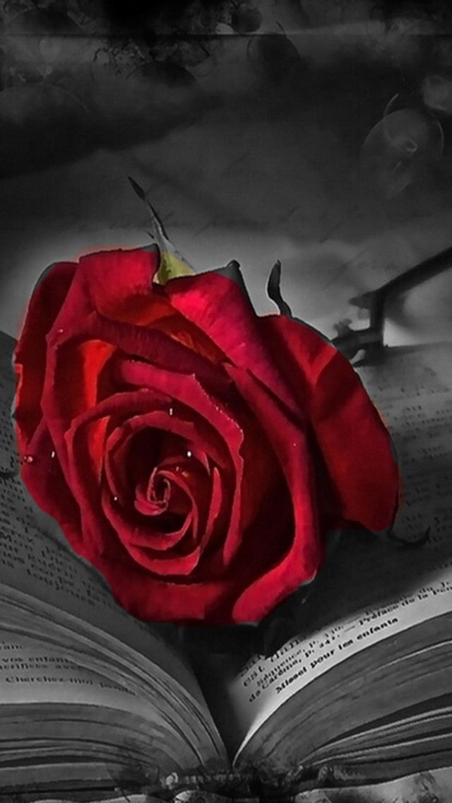 Decent Wallpapers - Beautiful Wallpapers Mobile Phones Free Download - 640x1136 Wallpaper Decent Wallpapers - Beautiful Wallpapers Mobile Phones Free Download - 640x1136 Wallpaper