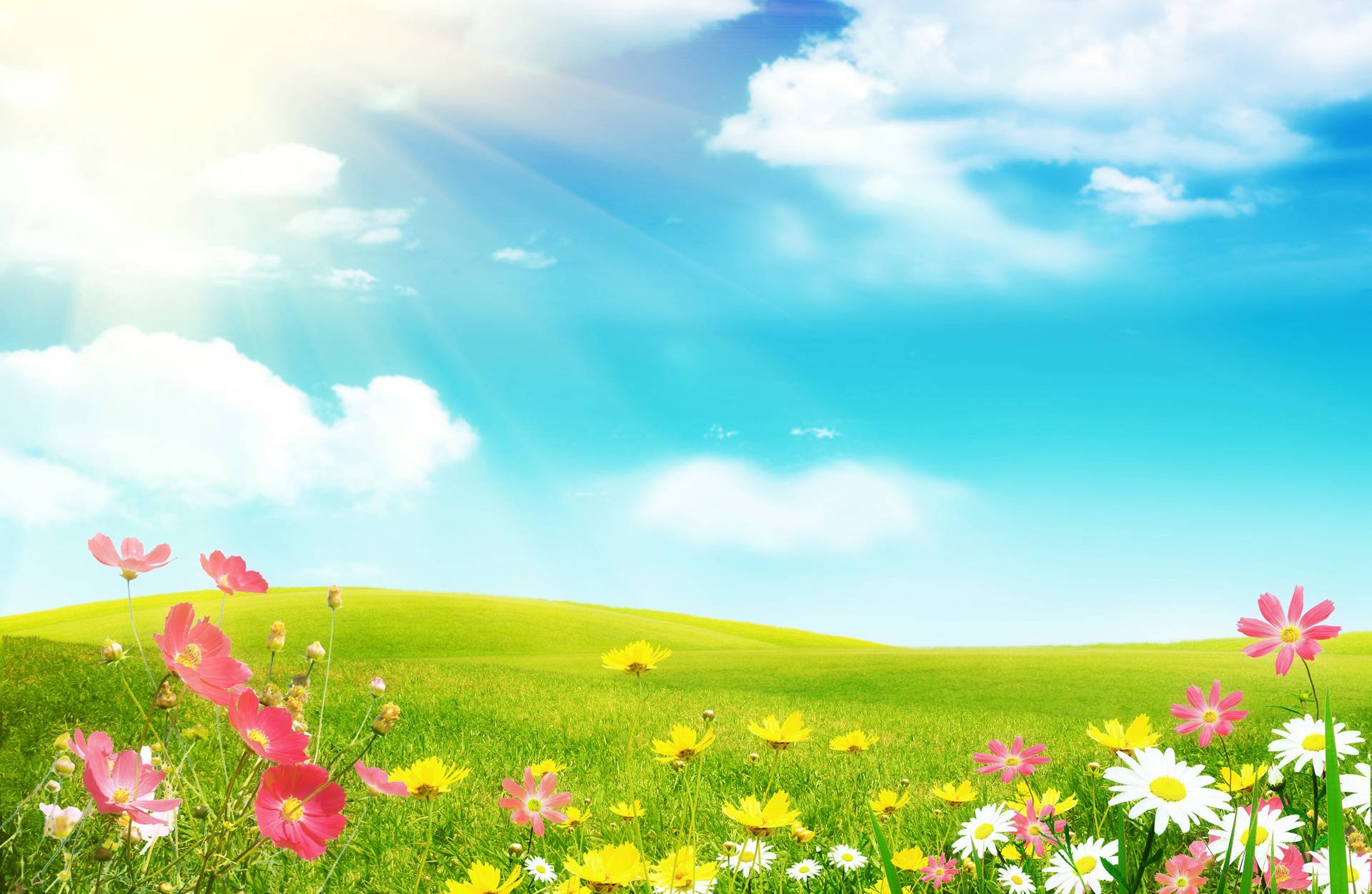 Well Designed Free Spring Wallpapers 1920x1252px ~ - Springtime Backgrounds - HD Wallpaper 