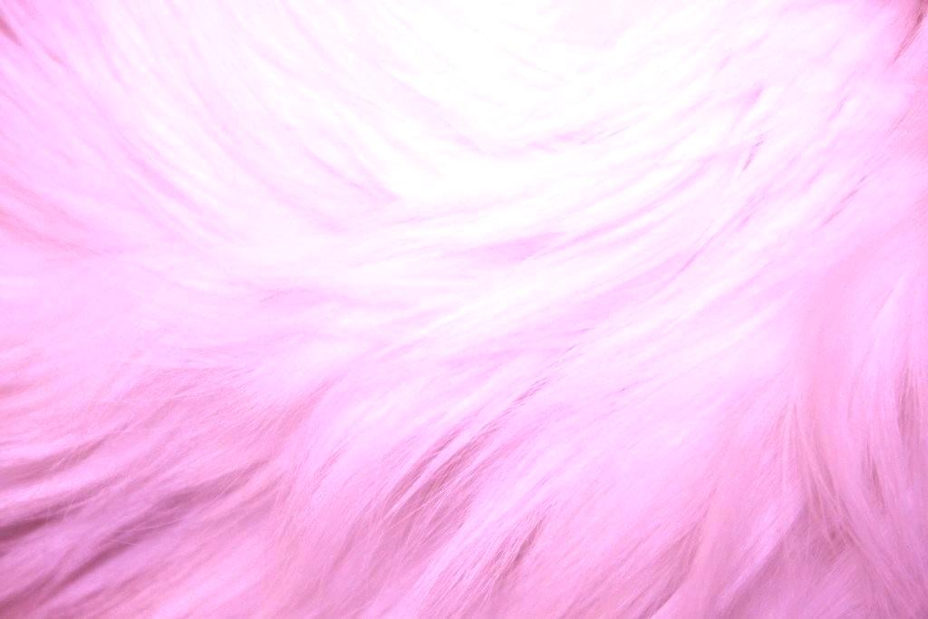 Pink Fur Wallpaper For Bedrooms Wall Paper - Close-up - HD Wallpaper 