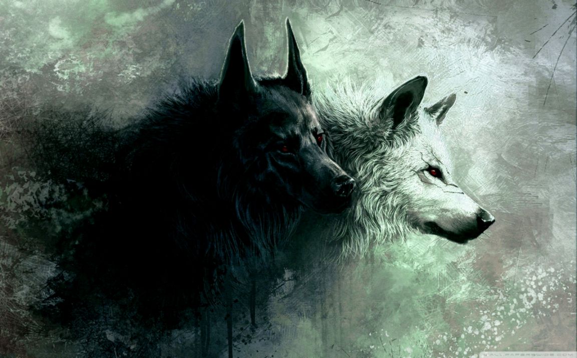 Wolf ❤ 4k Hd Desktop Wallpaper For 4k Ultra Hd Tv • - 4k Wallpaper Wolf - HD Wallpaper 