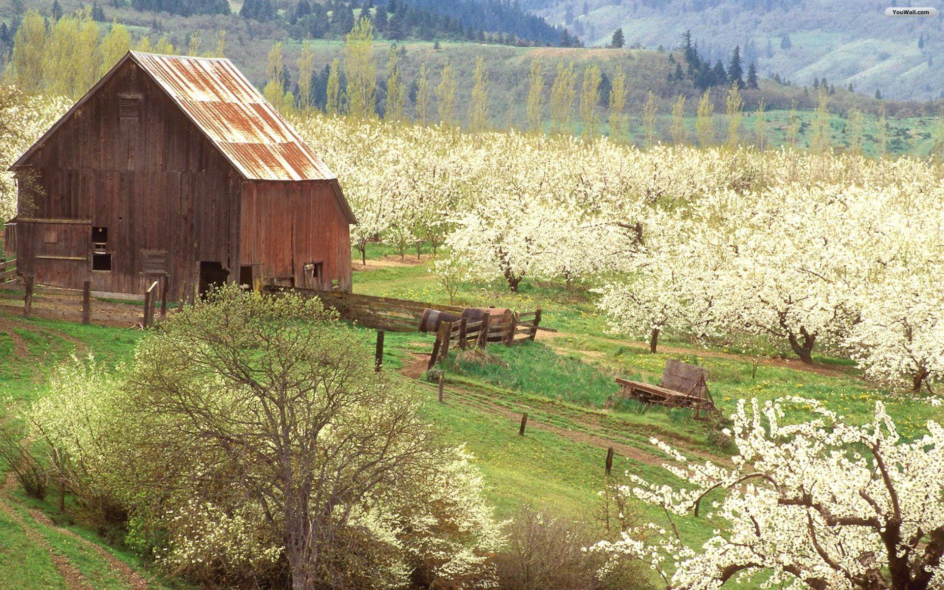 Spring Fields Wallpaper - Desktop Background Country Spring - HD Wallpaper 