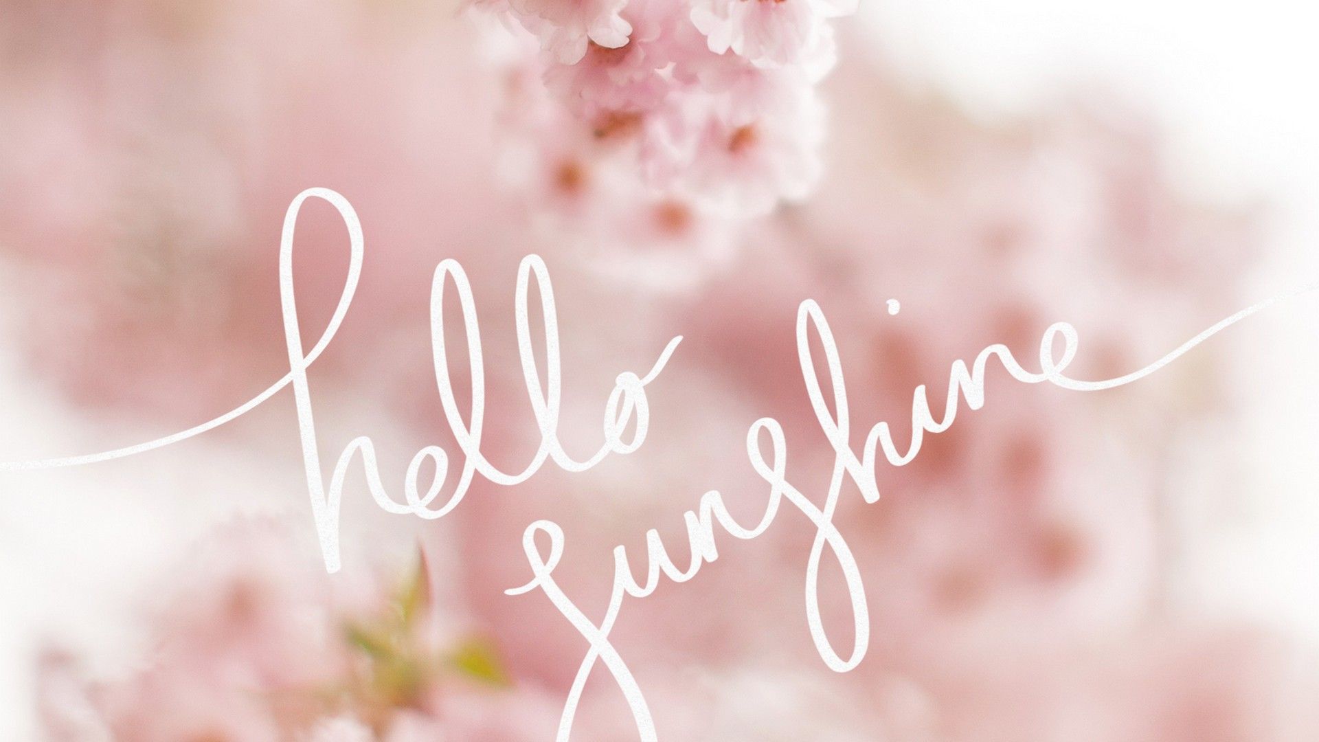 Cute Spring Backgrounds For Desktop - HD Wallpaper 