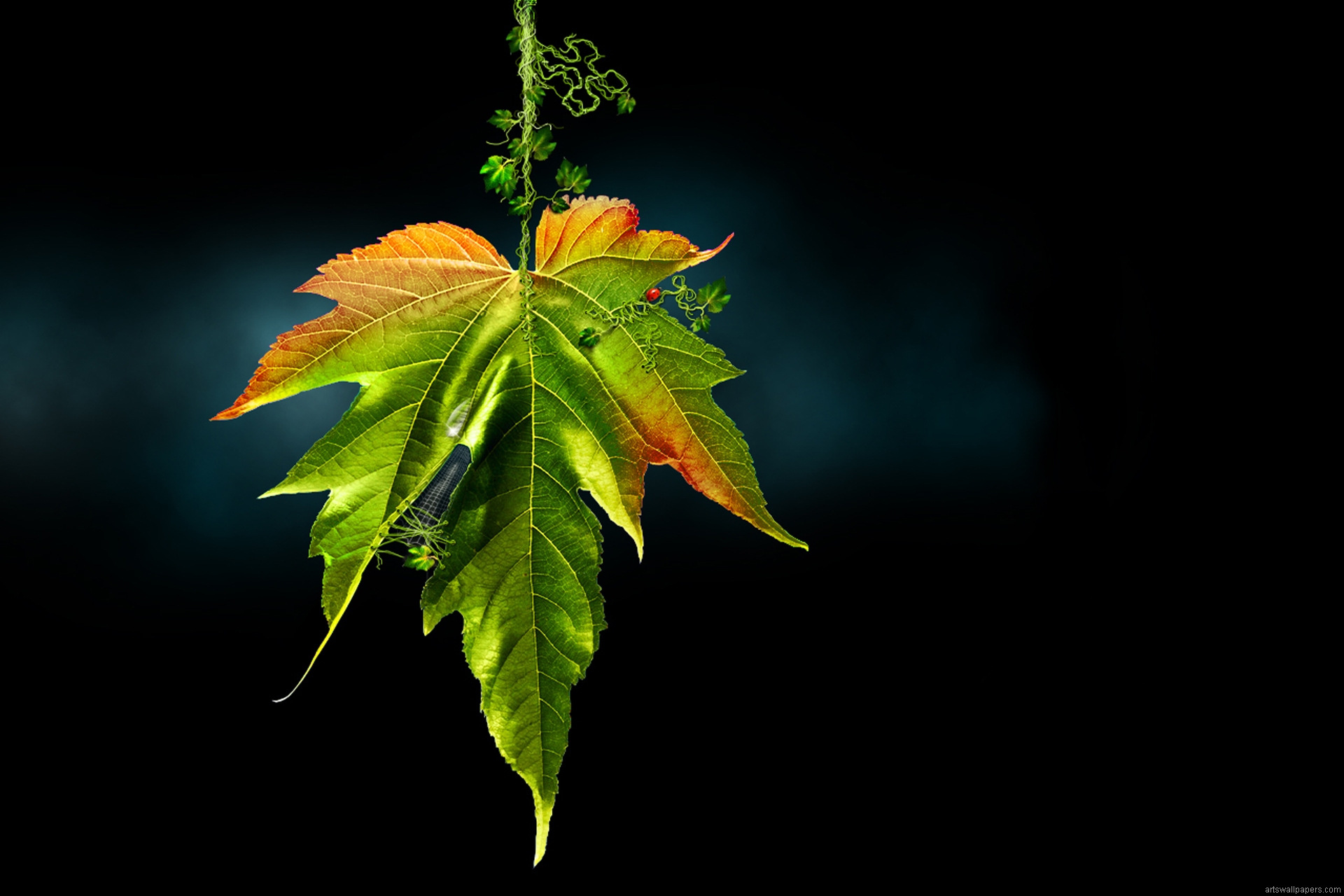 Dünya Onların Ahiret Bizim Olsun - HD Wallpaper 