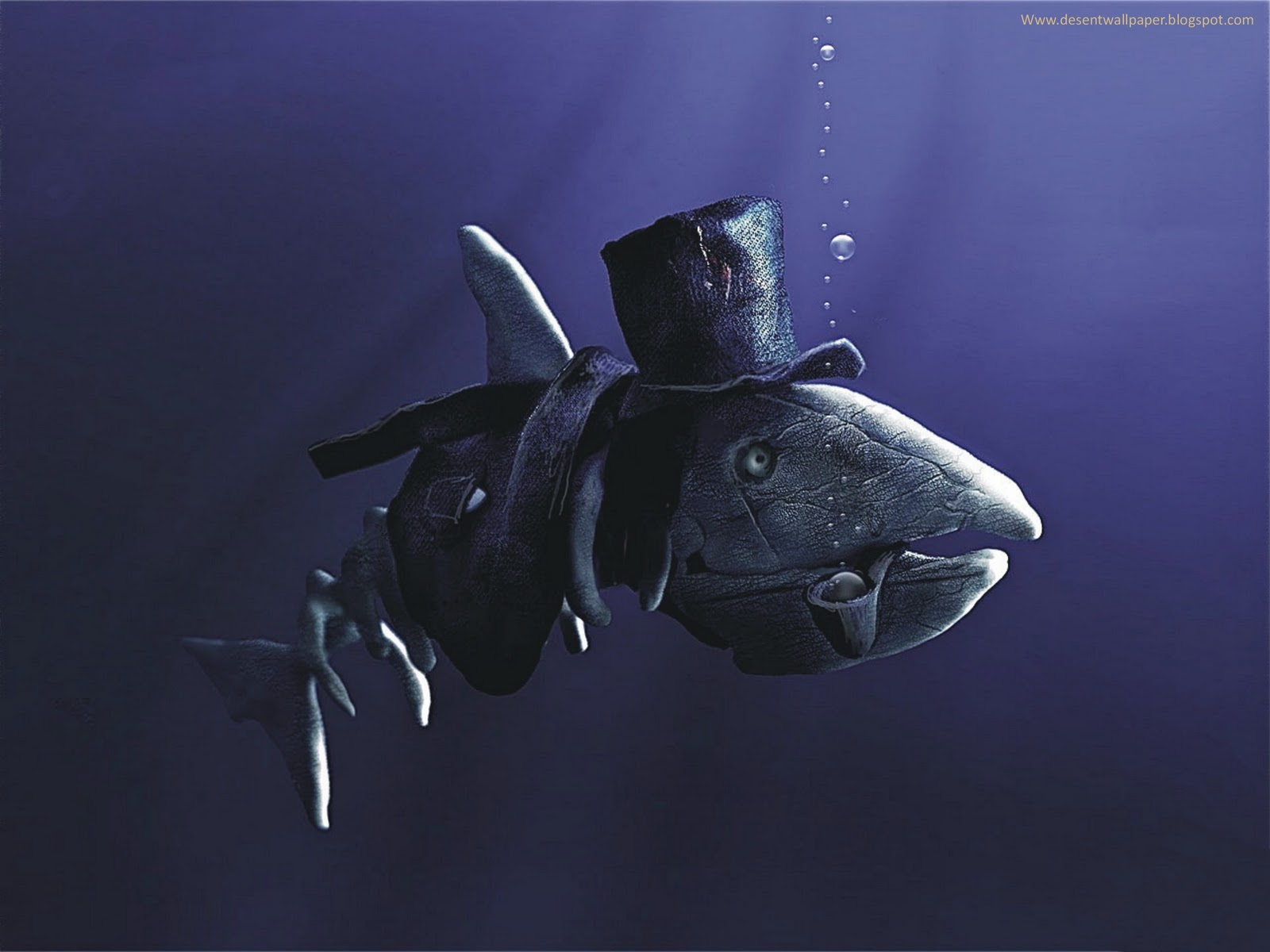 Cool Charks - HD Wallpaper 