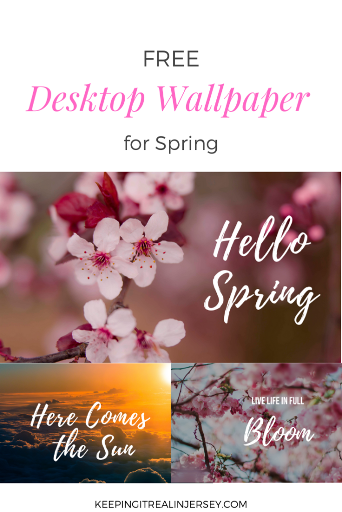 Free Desktop Wallpapers For Spring - Beautiful Blossom Happy Birthday - HD Wallpaper 