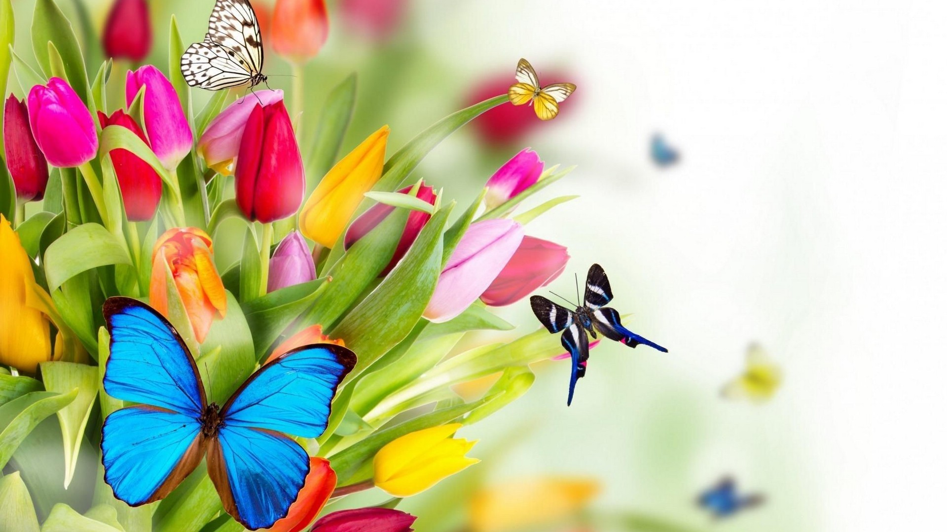 Springtime Desktop Wallpaper - Full Hd Beautiful Flowers - HD Wallpaper 