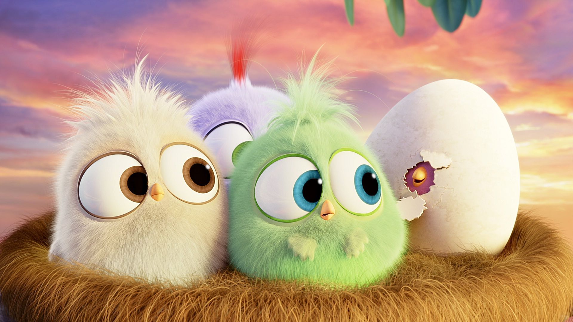 Cute Nice Wallpapers Hd - Angry Birds Movie Hd - HD Wallpaper 