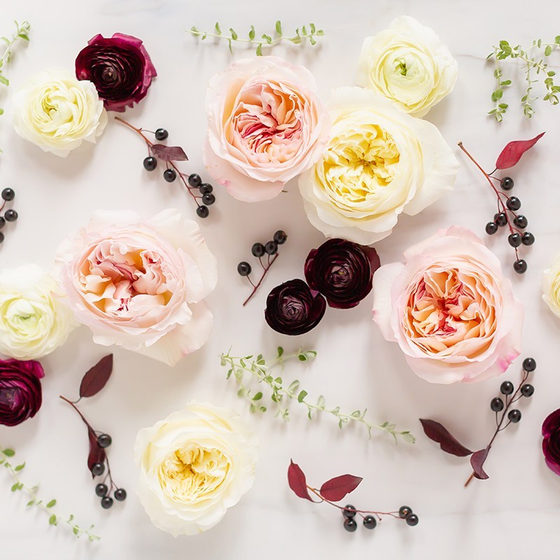 Flower New Wallpaper 2019 - HD Wallpaper 