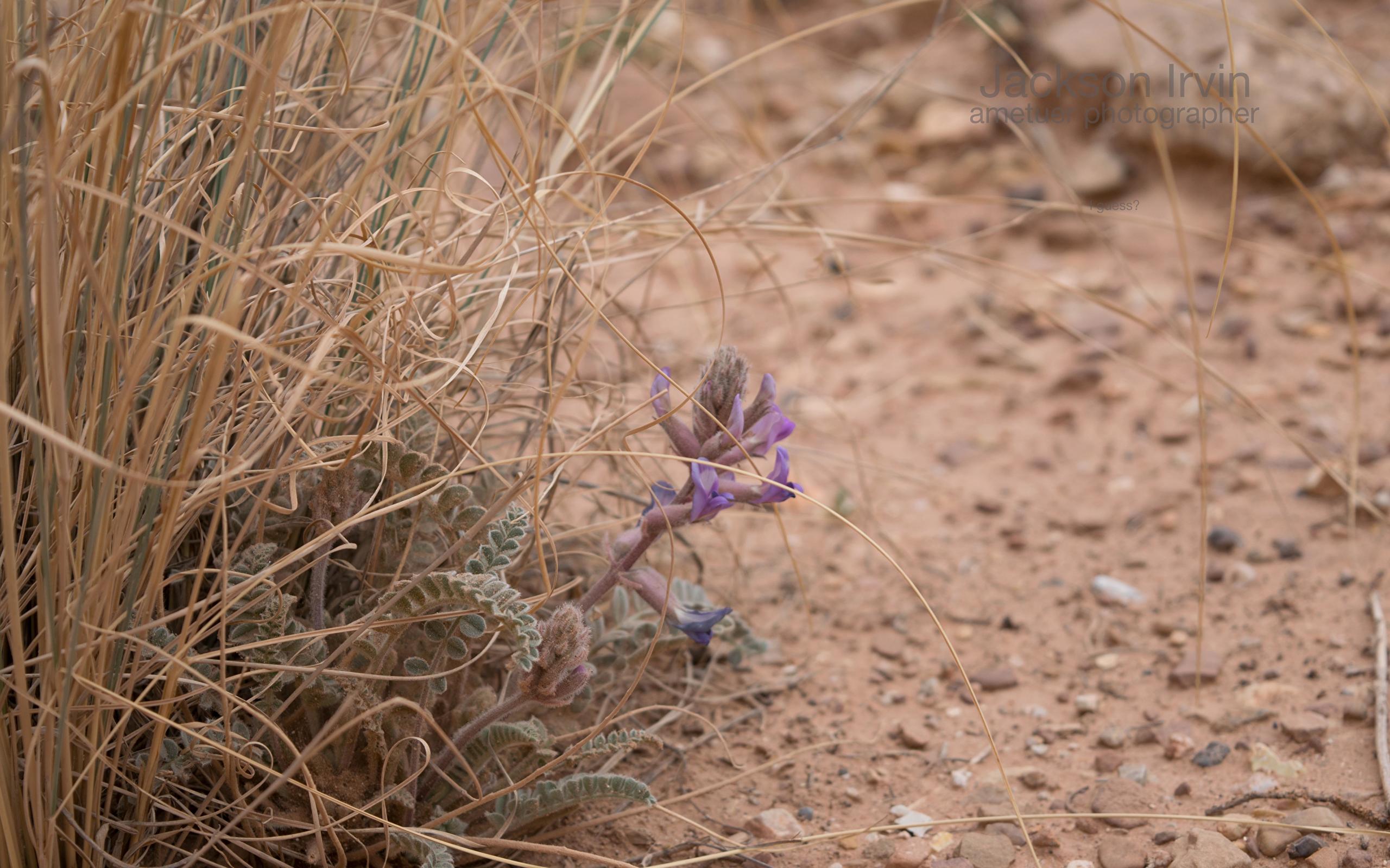 Display Resolution - HD Wallpaper 