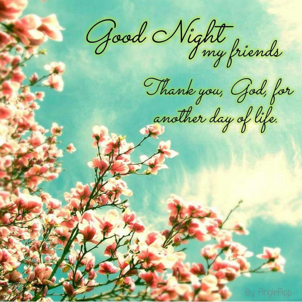 Good Night My Lovely Friends - HD Wallpaper 